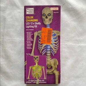 Color Changing LED Skelly Lighting Kit